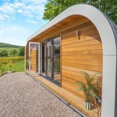 Freedom Fields - Bluebell