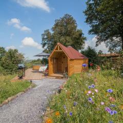 Dol Y Mynydd The Mountain Meadow - Cottage