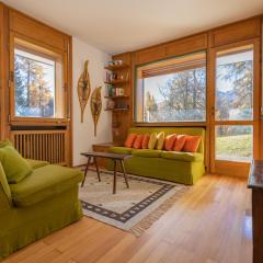 Cortina - Chalet Pocol 22