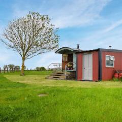 Shepherds Cottage - Uk49766