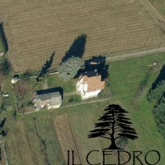 Il Cedro