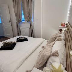 La maison de Paris Est- calme et moderne, proche de Paris,CDG & Villepinte