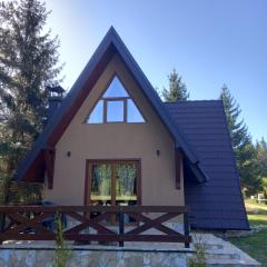 Mountain House Tadić 3