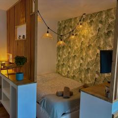 T1 cosy tout équipé, proche Airbus aéroport