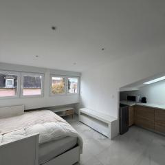 DeLuxe Studio Blanche, Rénové, MULHOUSE CENTRE