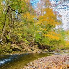 Whispering Creek Cabin