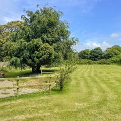 Hafod Fach - Ukc6956