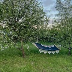 Framed Structure With Annexes In Österlen