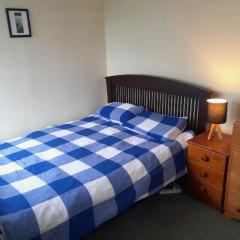 The Yellow Brick House