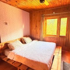 Mukhi Cottage near Naggar Mountain Private Mountain Views