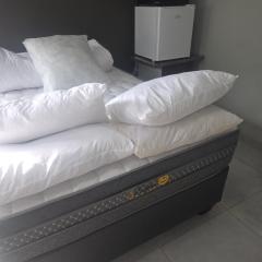 The Good Samaritan 1