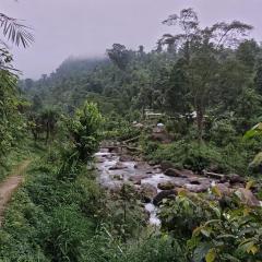 Rongo Orange Valley Camp&Cottages