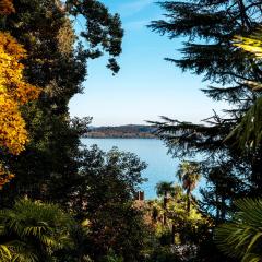 Villa Allgayer - Ancient dependance