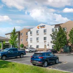 Comfort Suites Auburn Hills-Detroit
