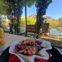 Apartmani Vila Marija