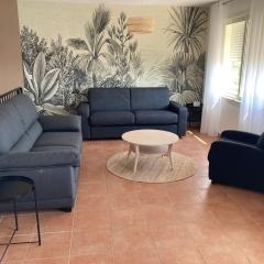 Domaine de la Brugaye Mimosa