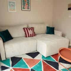 Maison MUGUET 2 SPA-PARKING-COLMAR