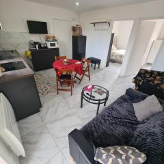 Rive gauche Rive droite Appartements Cosy très bien situés