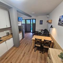 Komfortowy, klimatyzowany apartament Góry Marzeń - Lesko