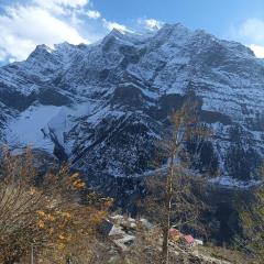 Snow Peaks View Homestay