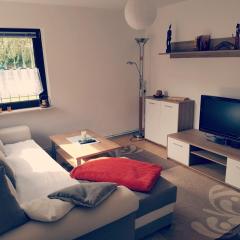 Wohnung am Waldesrand für Monteure