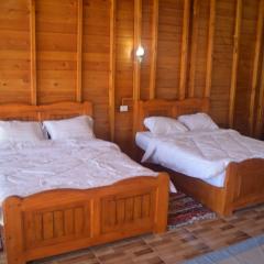 دار تونس الزيتون