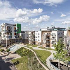 The Luxurious Semi-Circle