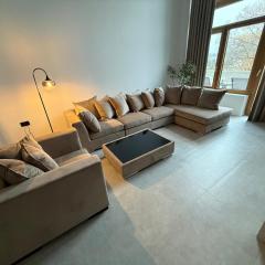 Apartament LOFT 12