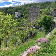 Votre gite dans l'ancienne Huilerie de Tourtel