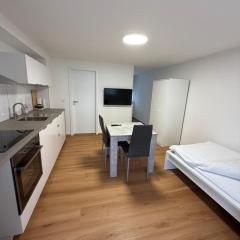 Ferienwohnungen in Giengen an der Brenz