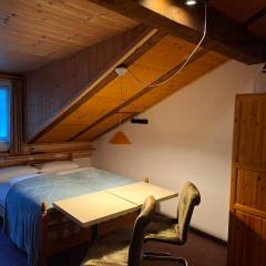 Gassermühle - Studio Appartments