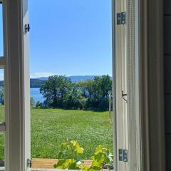 Lovely Cabin, with a dream view !