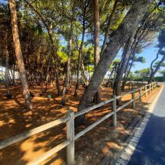 Appartamento Pinolo Trilo INT 8 - MyHo Casa