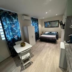 Studio Zen Caza Form