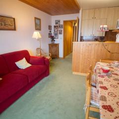 Appartement cosy proche pistes avec balcon - FR-1-688-33