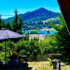 Casa dintre Brazi Colibita