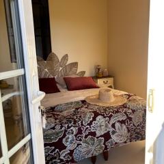 Le Mas des Vignes en Drome provençale