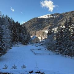 Ferienwohnung Dackel