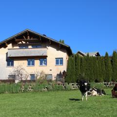 Ferienwohnung Vögel