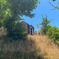 In the Wild Volcano Sea Side