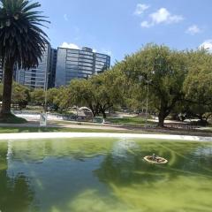 305 Beautiful central suite La Carolina Quito