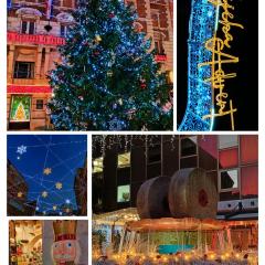 Center Rooms with terrace