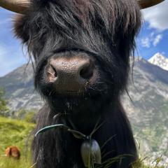 Gemütliche 2-Zimmer Wohnung mir Bergblick