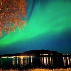 Charming apartment with two bedroms and beautifull sea view in Fauske