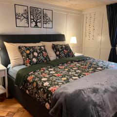 Dammablick Göschenen