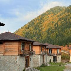 პანორამა გომარდული