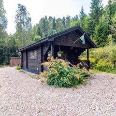 VAR799-Torsby-Bada-125-a