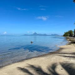 Bord de Mer, Coco Fare Beach, Tahiti