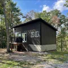 Lily Pad Modern Mountain Chalet on 19 Private Acres with Fire Pit
