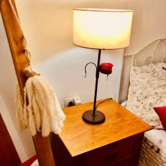 Roomies para chicas viajeras ! Solo chicas !